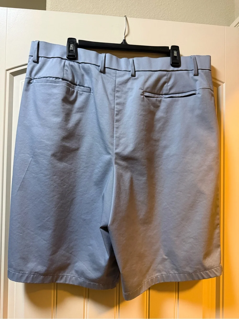 Banana Republic Light Blue Men's Flat-Front Shorts